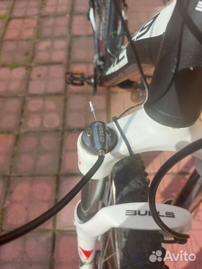 Велосипед горный Bulls King Kobra Disc 29 (XXL)