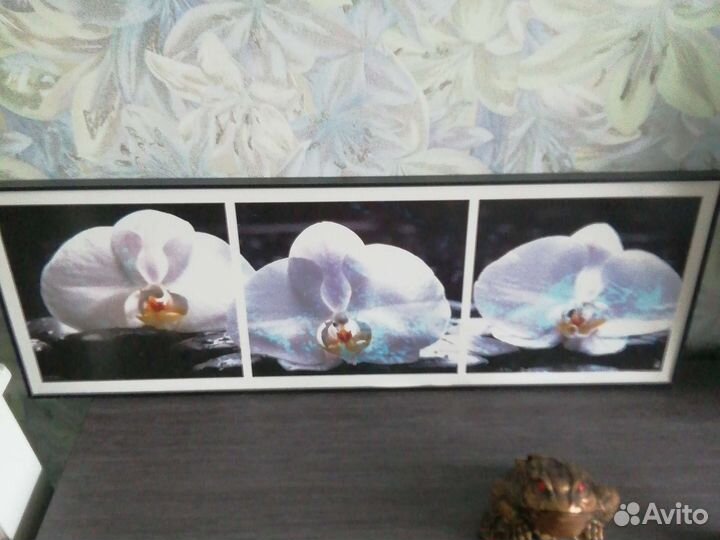 Картина орхидеи