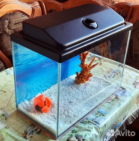 Аквариум с крышкой и освещением