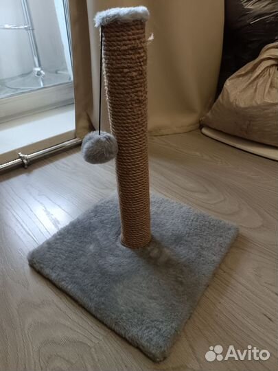 Когтеточка