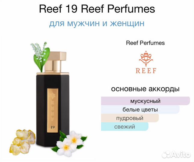 Reef 33 духи