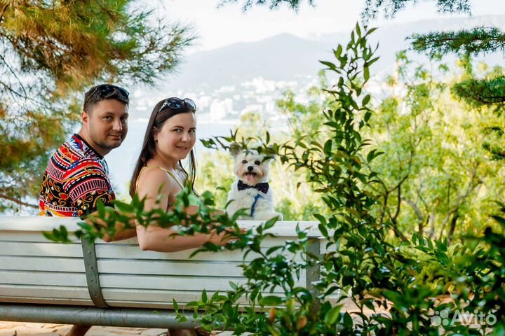 Маленькая собачка для фотосессии