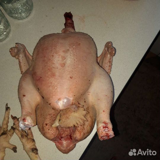 Мясо домашнего бройлера