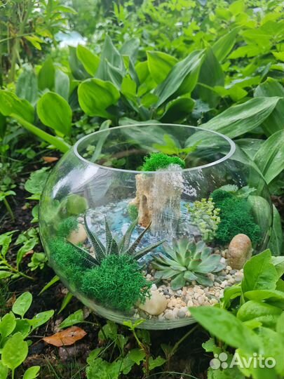 Флорариум 