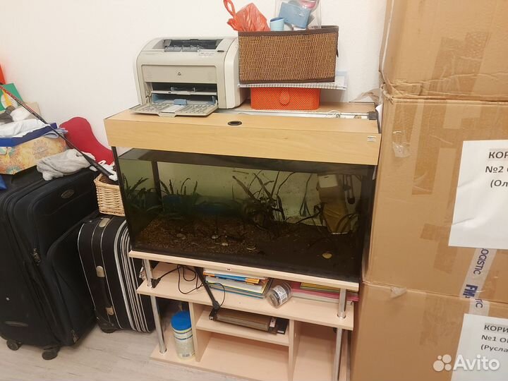 Аквариум на 150 литров