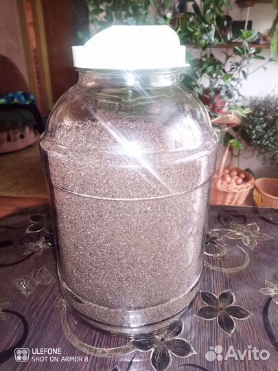 Огнёвка пжвм