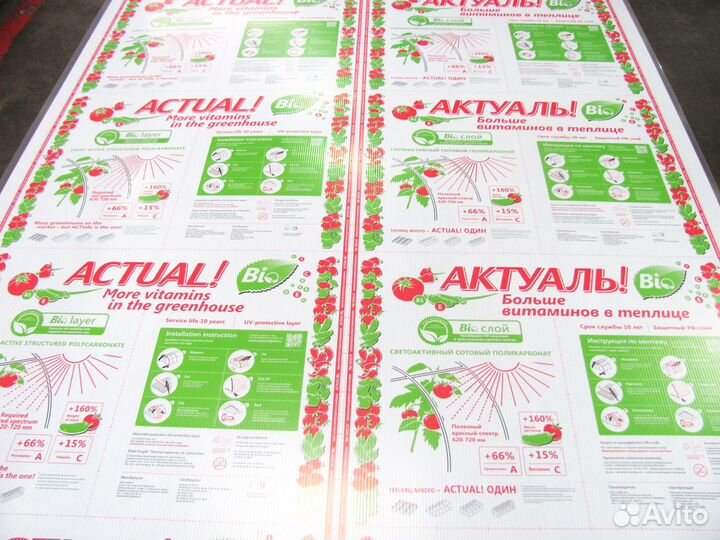 Поликарбонат Актуаль Био 4мм