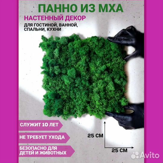 Панно стабилизированный мох ягель декор настенный