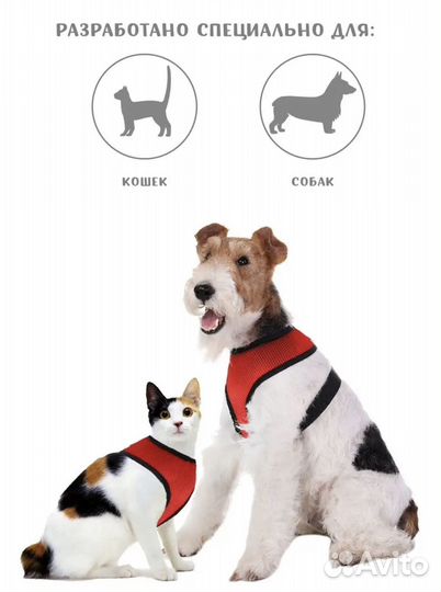 Шлейка, ошейник, когтерез