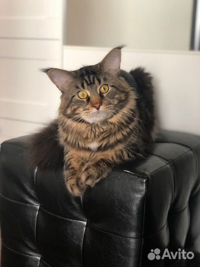 Мейкун вязка