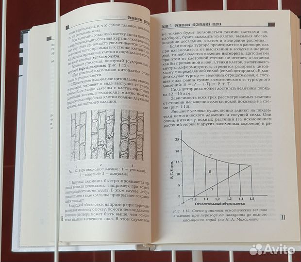 Веретенников Физиология растений Учебник Новый