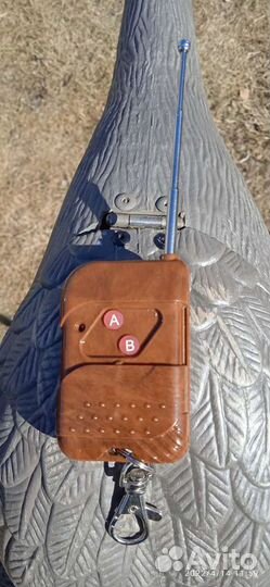 Чучело утки махокрыла