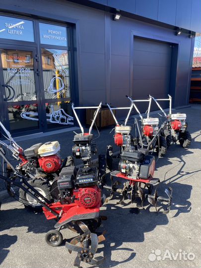 Аренда культиватора. Прокат мотоблока