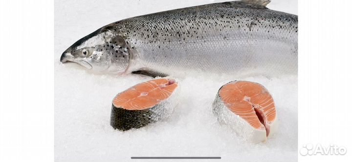 Продукты питания