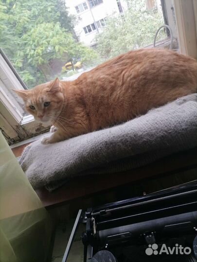 Печатная машинка Москва времен СССР