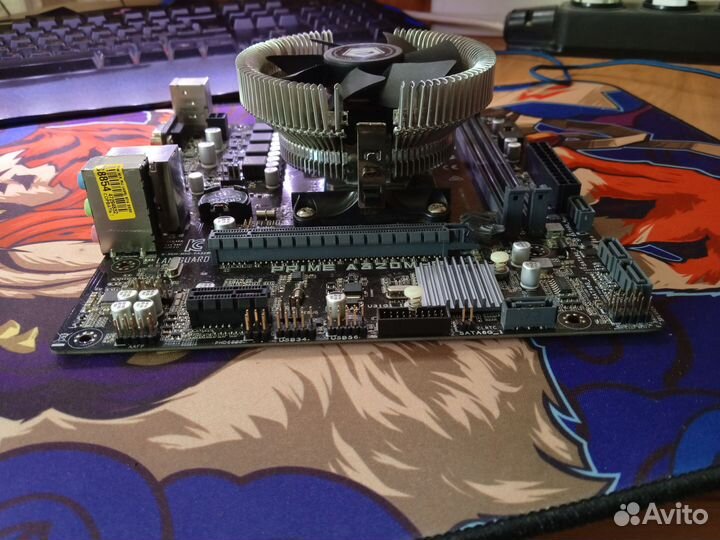 Материнская плата с процессором asus am4