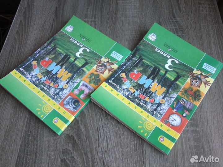 Плешаков Окружающий мир 3 класс Учебник В 2х чч