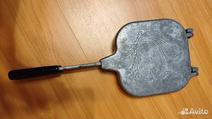 Орешница СССР Грибы