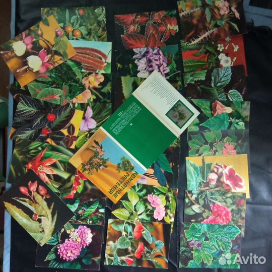 Наборы советских открыток