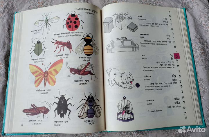 Иврит-русский. Иллюстрированный словарь для детей
