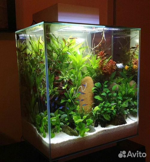 Аквариум