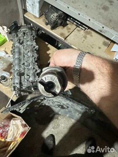 Растредвал