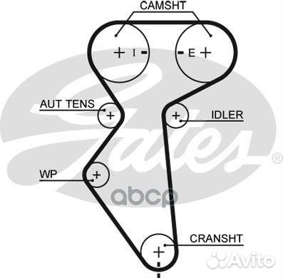 Ремень грм 127зуб, 25mm daewoo Nexia/Espero