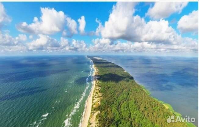 Грузоперевозки и перевозки