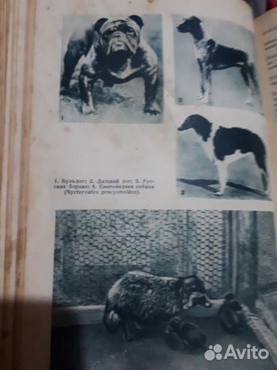 Раритетная книга 1941 г. издания