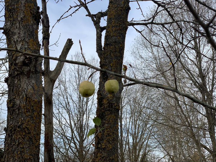 Дом 135 м² на участке 20 сот.