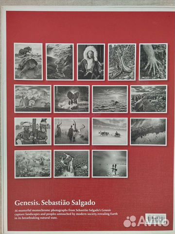 Набор постеров Sebastiao Salgado «Genesis»