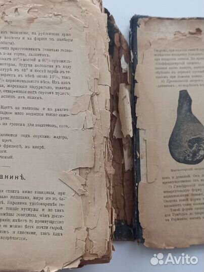 Практические основы кулинарного искусства 1899