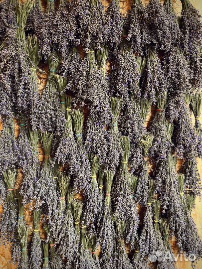 Букет из сухоцветов