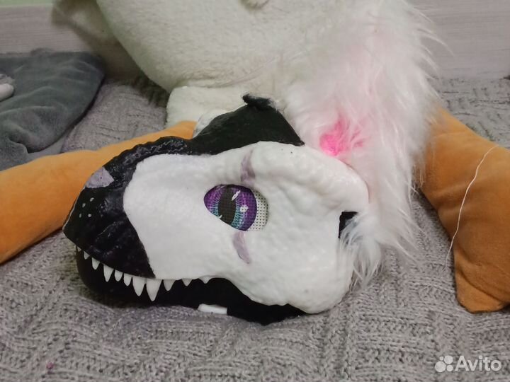 Раптор раптя