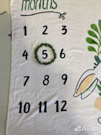 Фотоплед для новорожденных