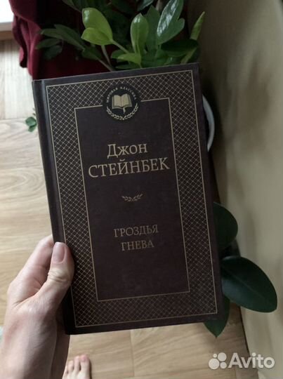 Джон стейнбек Гроздья гнева