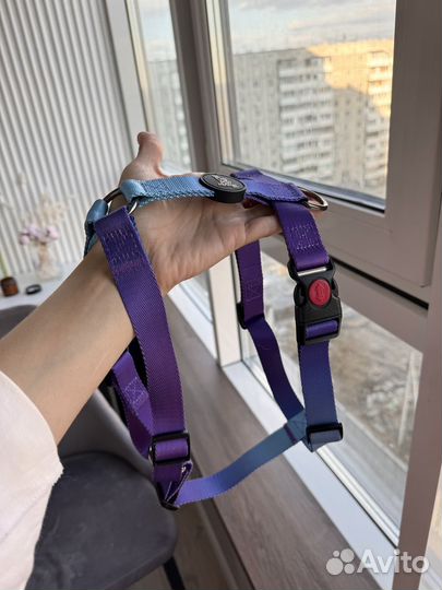 Шлейка для средней собаки