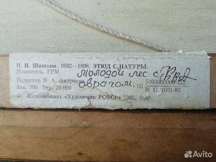 Картина. Молодой лес