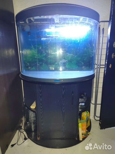 Аквариум с тумбой jebo