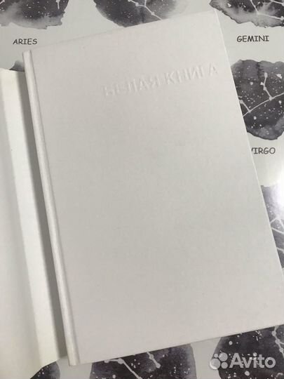 Белая книга. Васильев Виктор Владимирович