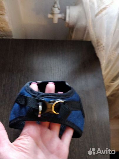 Шлейка для маленькой собаки