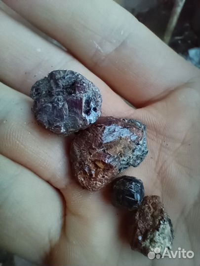 Ольховая глушь. Женское место силы