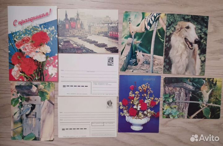 Открытки СССР, Сочи, Доминикана