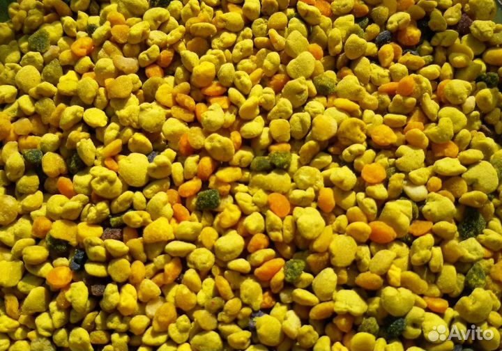 Пыльца 2023 г