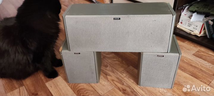 Компьютерная акустика