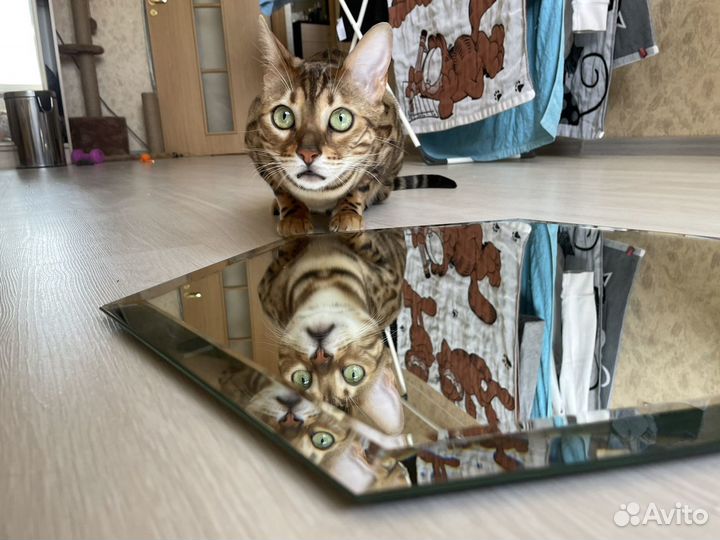 Зеркала в виде сот