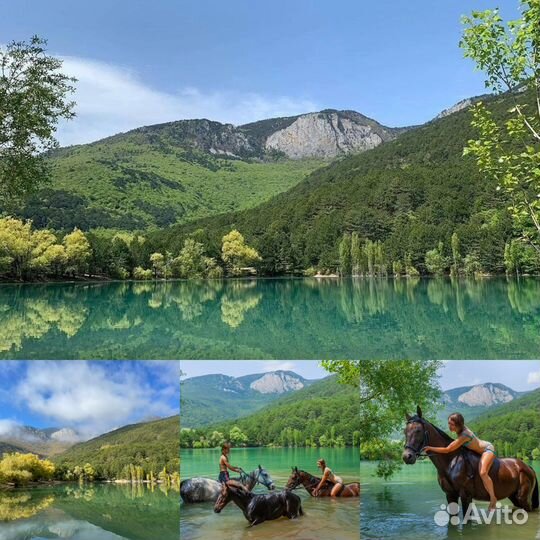 Конные прогулки вблизи Гурзуфа