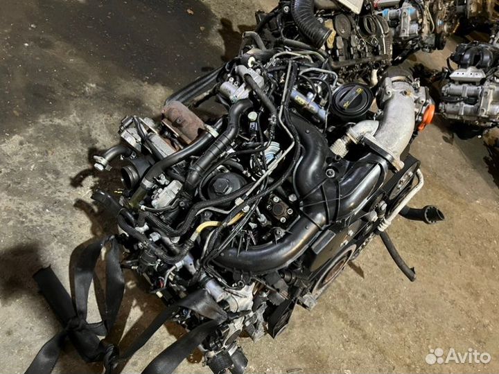 Двигатель Volkswagen Touareg GP 3.0 TDI BKS 2006