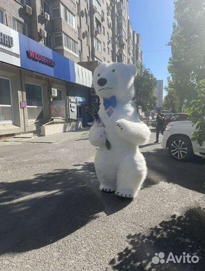 Поздравление от большого белого медведя Фили