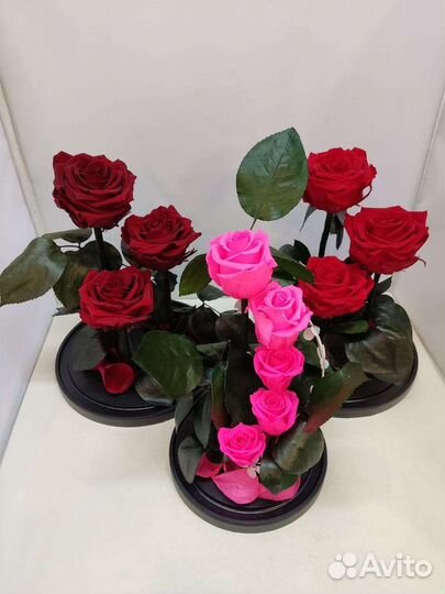 Подарок на новый год / Роза в колбе оптом